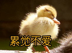 微信图片_20230802090500.gif