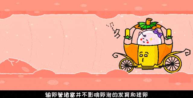 微信图片_20230803092536.gif