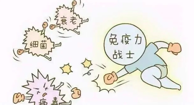「试管婴儿」免疫在做试管前有必要检查吗？