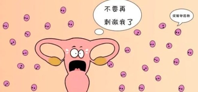 「试管婴儿」为什么要取消胚胎移植手术？