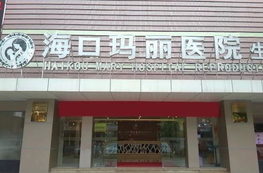 回眸奋进路，迈行新征程——海口玛丽医院召开2023年年终述职总结会议