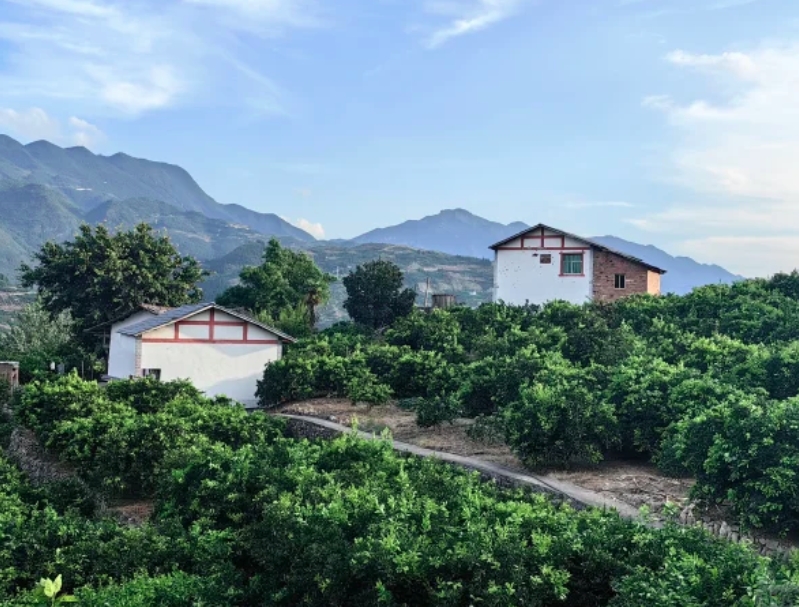 送医下乡送温暖（东平村）