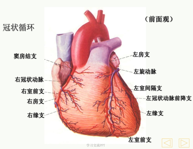 转载：无症状，查冠状动脉CT发现血管狭窄怎么面对？