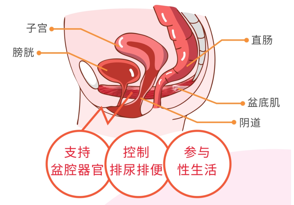 微信截图_20241003160909