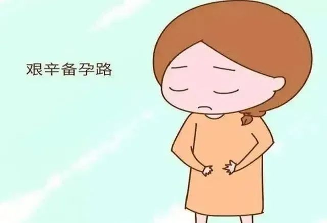 「专治各种不孕」怀孕真的这么难吗？