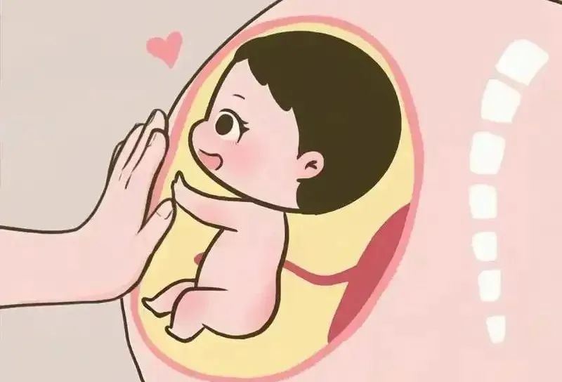 转载：文献精读 | 秦朗教授解读、杨冬梓教授点评：人促卵泡激素δ个体化剂量给药方案降低总体OHSS风险和/或预防性干预需求