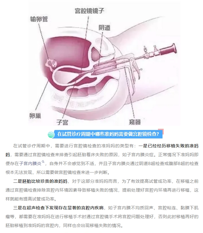 微信截图_20250410084515.jpg