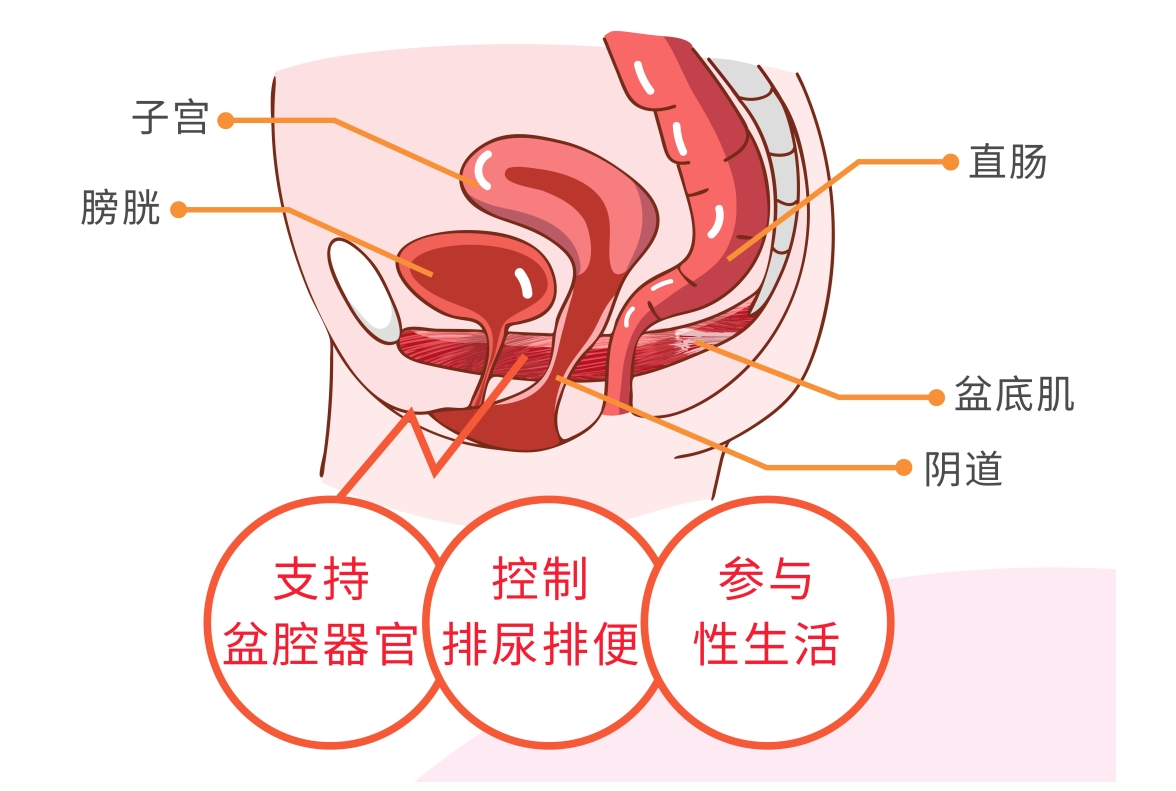 微信截图_20241116084813.png