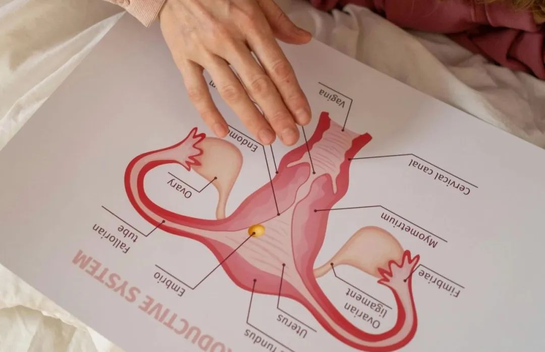 「海南试管婴儿条件」试管成功率可以预测吗？