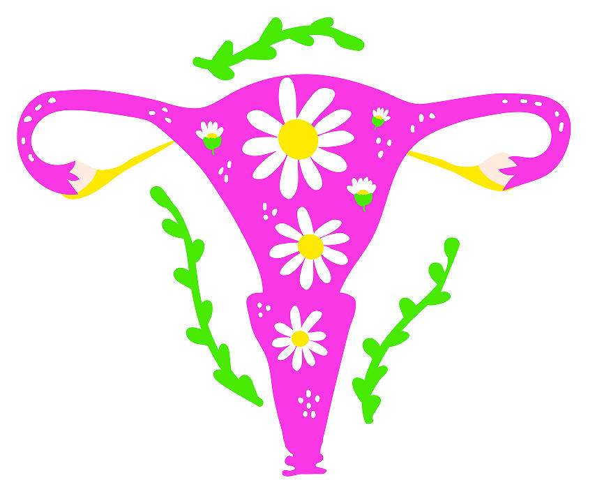 转载：短篇论著 | 女性生殖系统中肾管腺癌及中肾样腺癌4例临床病理分析