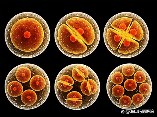 「海南试管婴儿条件」试管备孕准爸妈进行染色体检查的必要性!