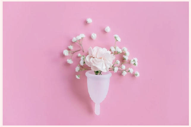 转载：指南共识丨妇科肿瘤遗传易感基因携带者管理指南（2025 版）