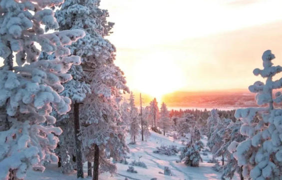 「试管婴儿」冬天试管助孕准爸妈要注意哪些事项？