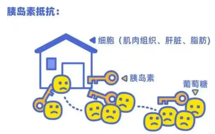 「试管婴儿」胰岛素抵抗对怀孕的影响？