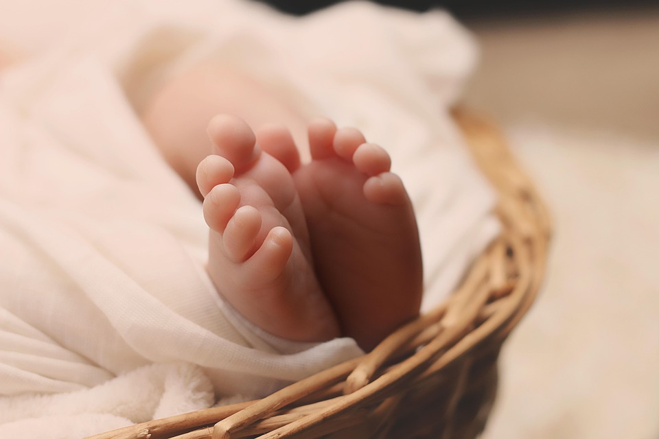 「试管婴儿」试管生羊宝宝的最佳时机？