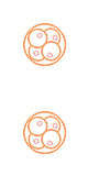 胚胎续费